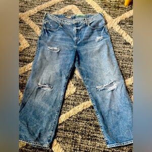 Anthropologie Pilcro Plus Size Distressed Denim Size 18W